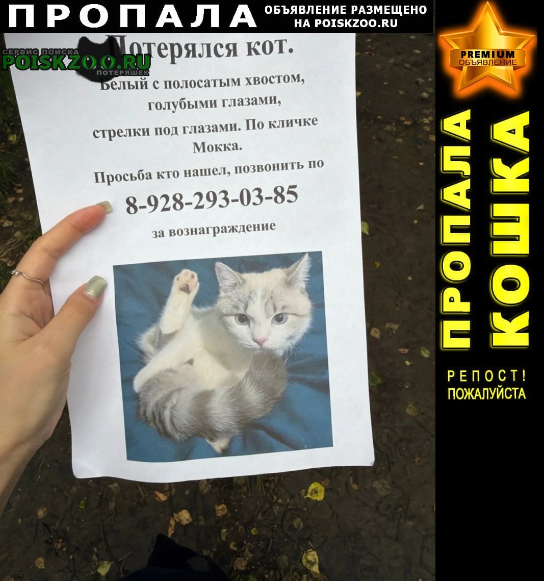 ���� ������ ���