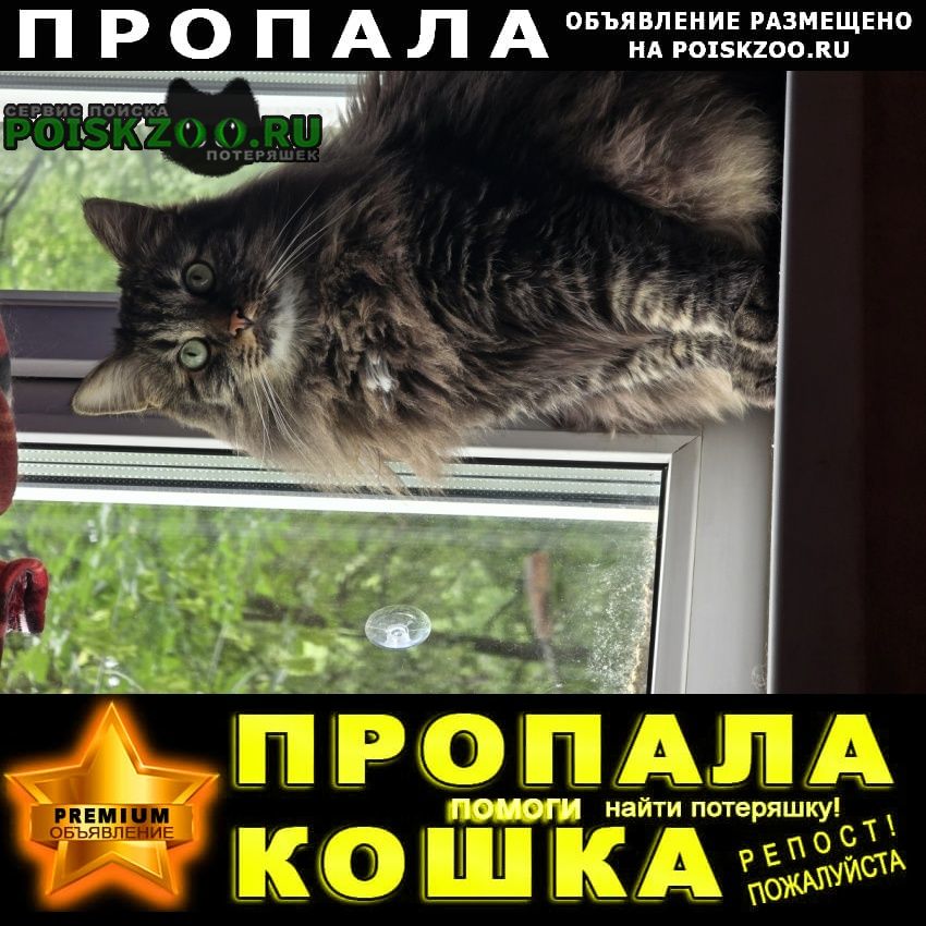 ���� ������ ���