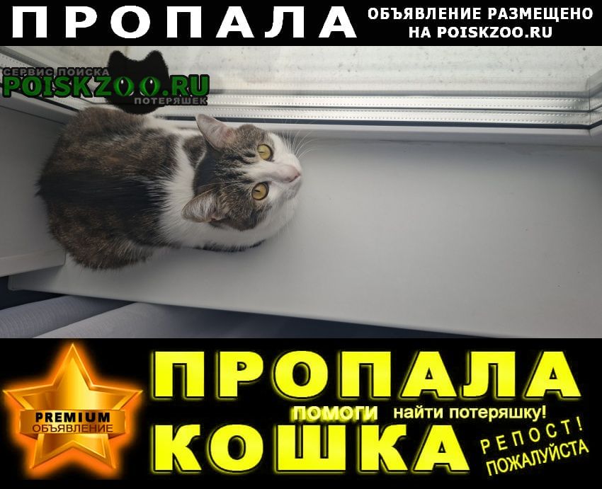 ���� ������� �����