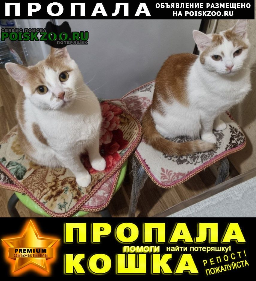 ���� ������� ����� ������ �������� ����� �����