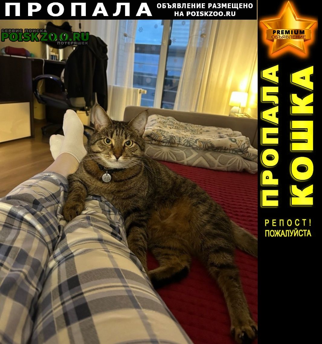���� ������ ��� �� ������ ����