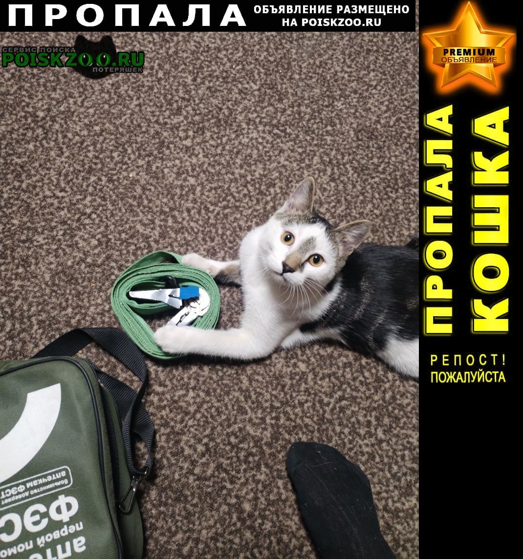 ���� ������ ��� �������