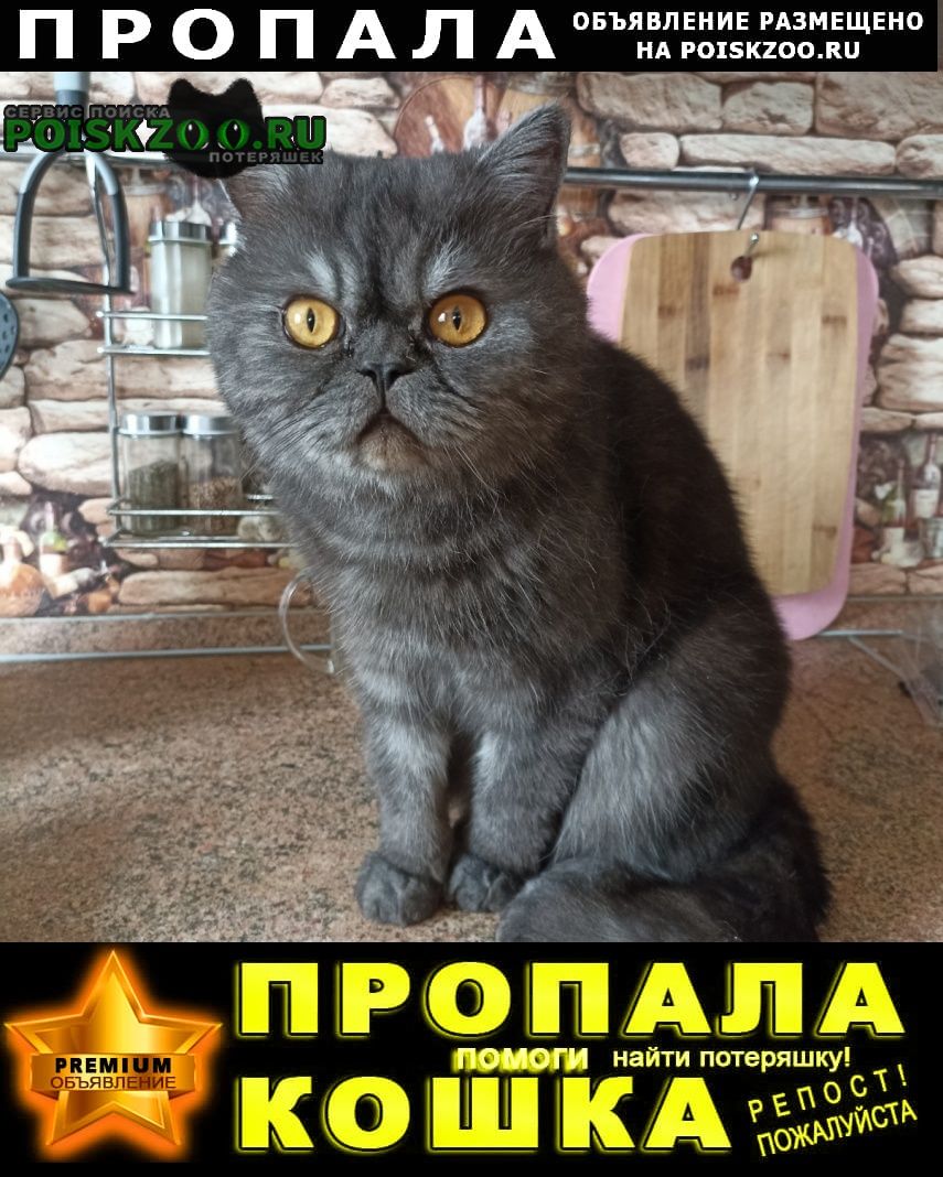 ���� ������ ��� ������ �������� � ����