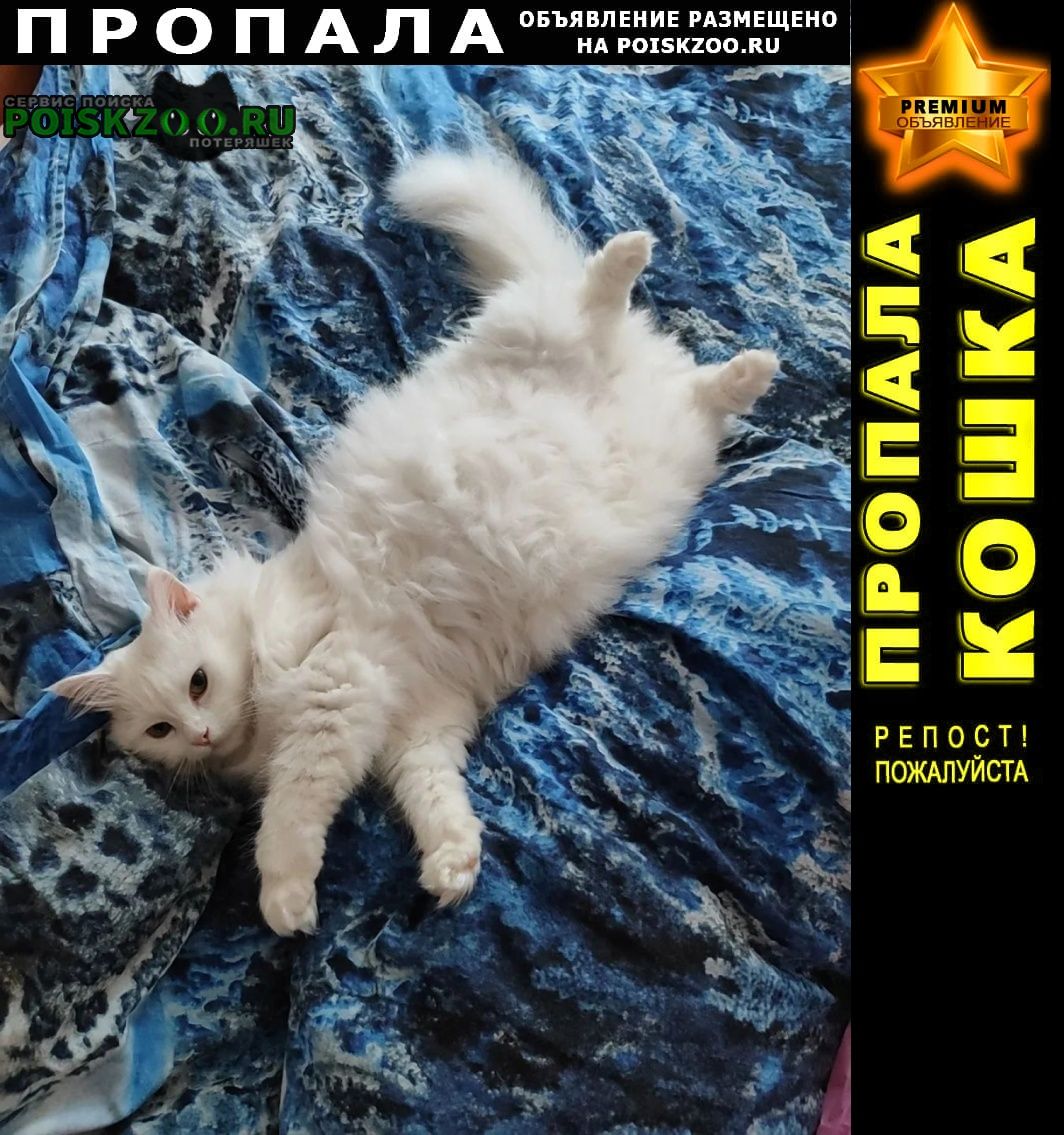 ���� ������� ����� �������