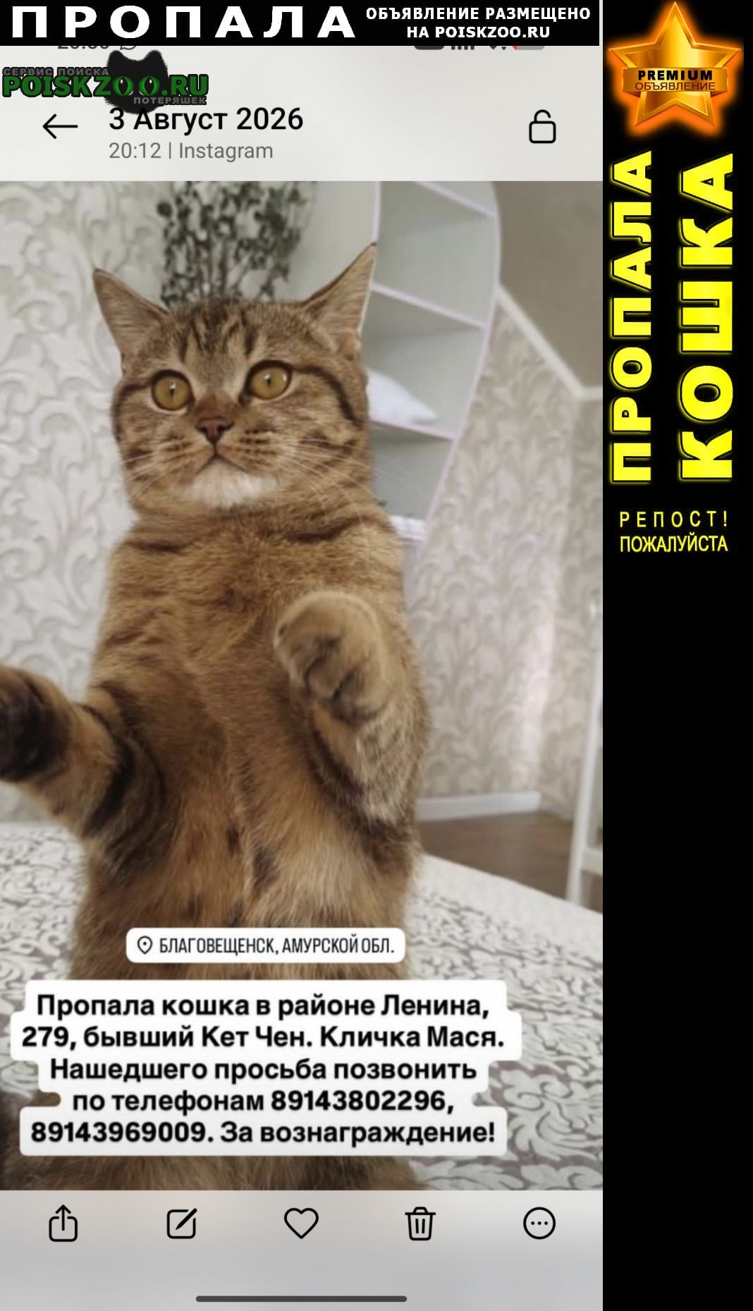 ���� ������� ����� ��������, ����������, ����� �