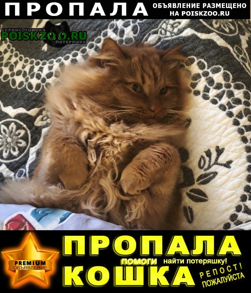 ���� ������ ���