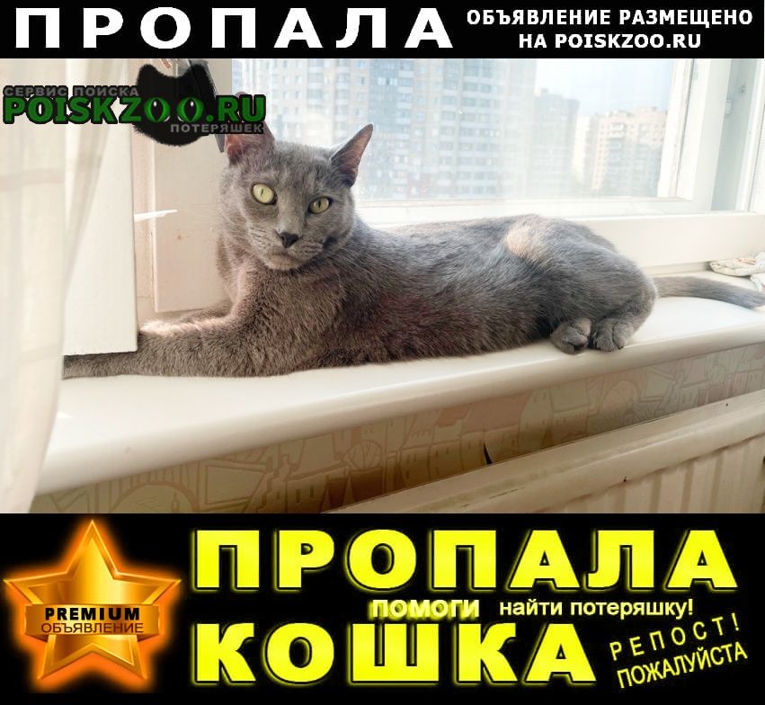 ���� ������� ����� ����� ����� ���� 3 ��������