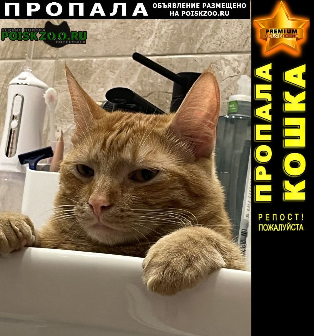 ���� ������ ��� ����� ���