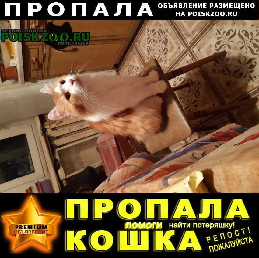 ���� ������ ���
