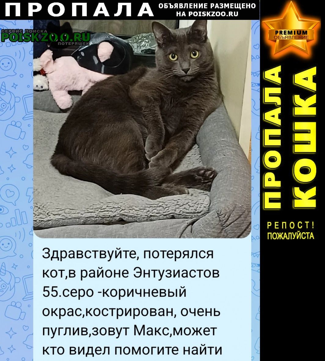 ���� ������ ��� ������������, . ������ ����