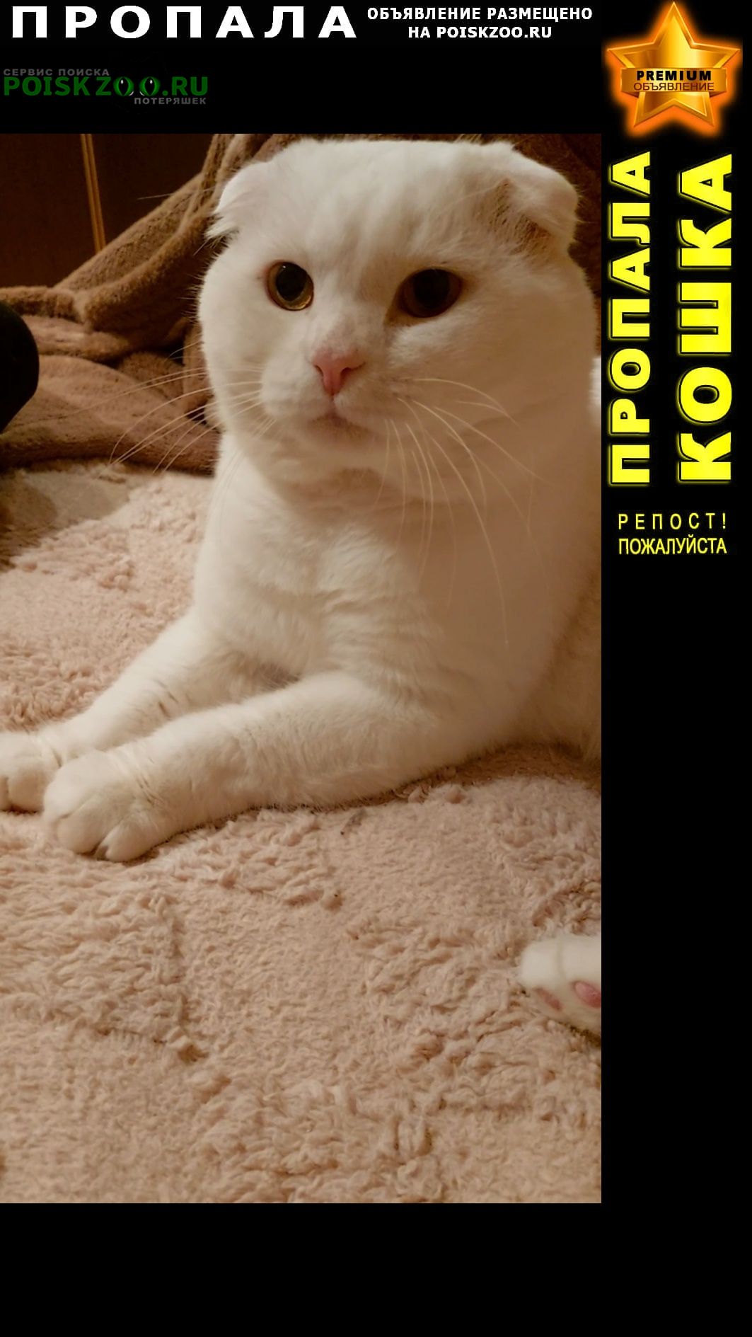 ���� ������ ���