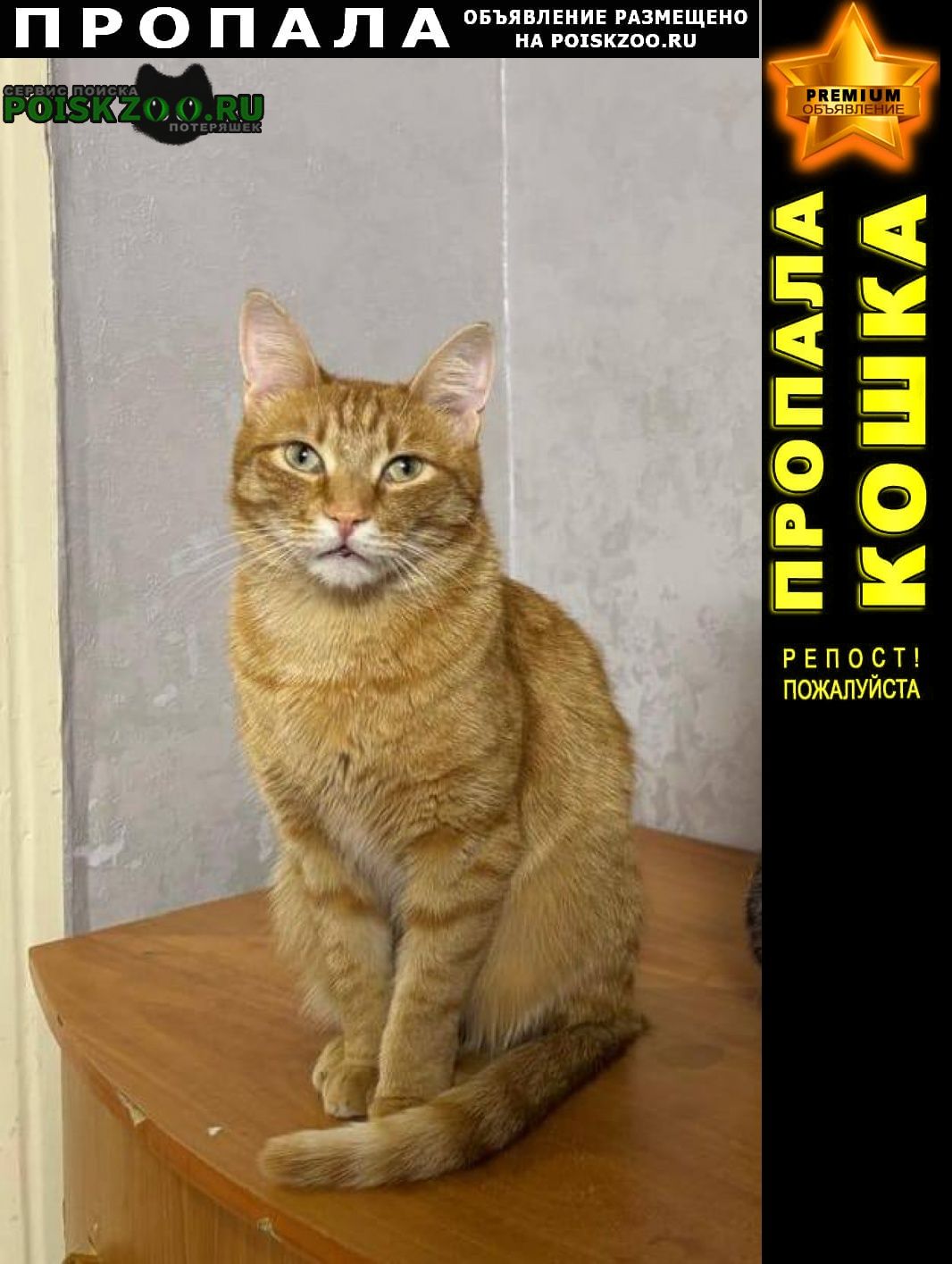 ���� ������ ��� ���