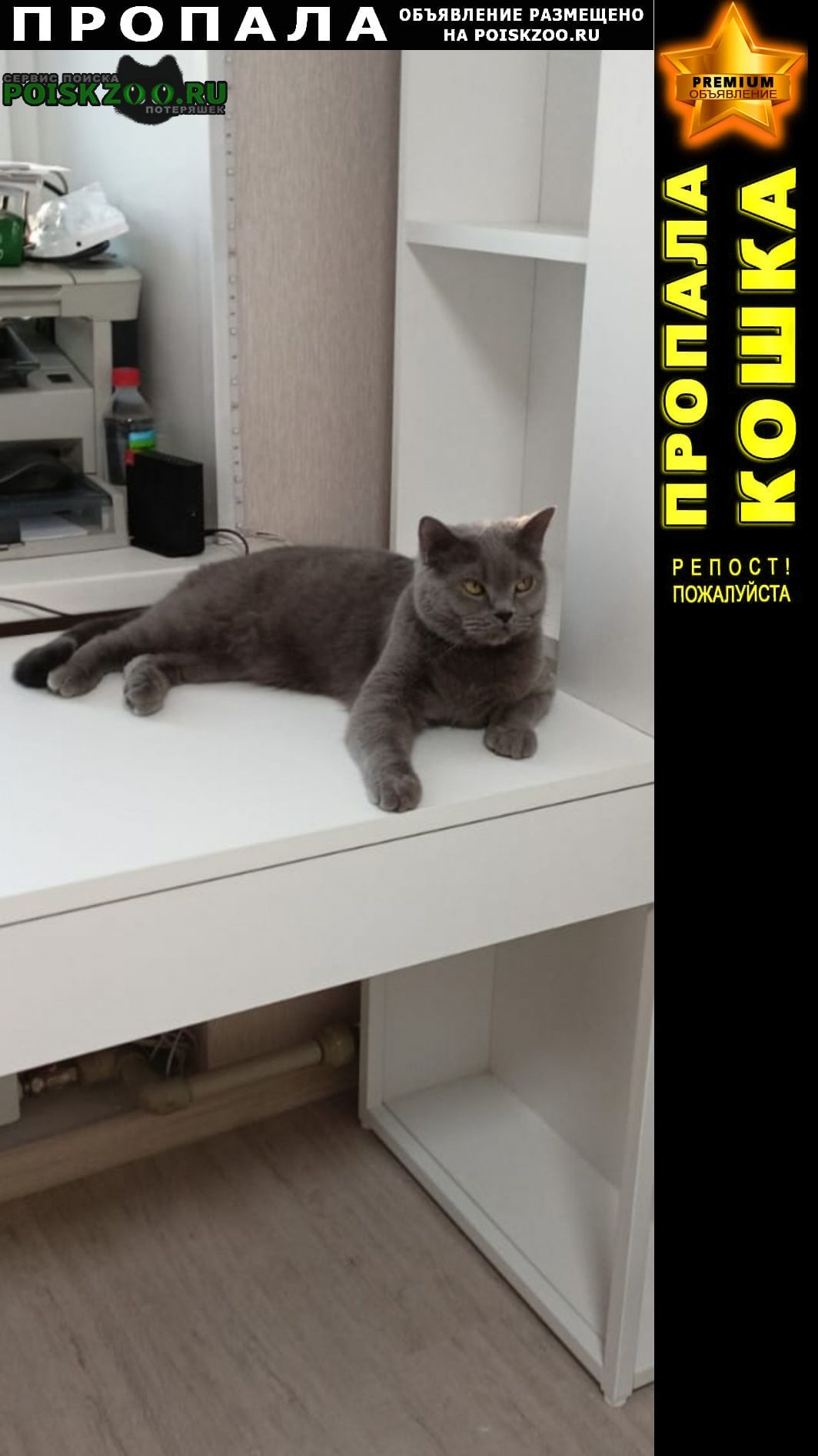 ���� ������ ��� ��������