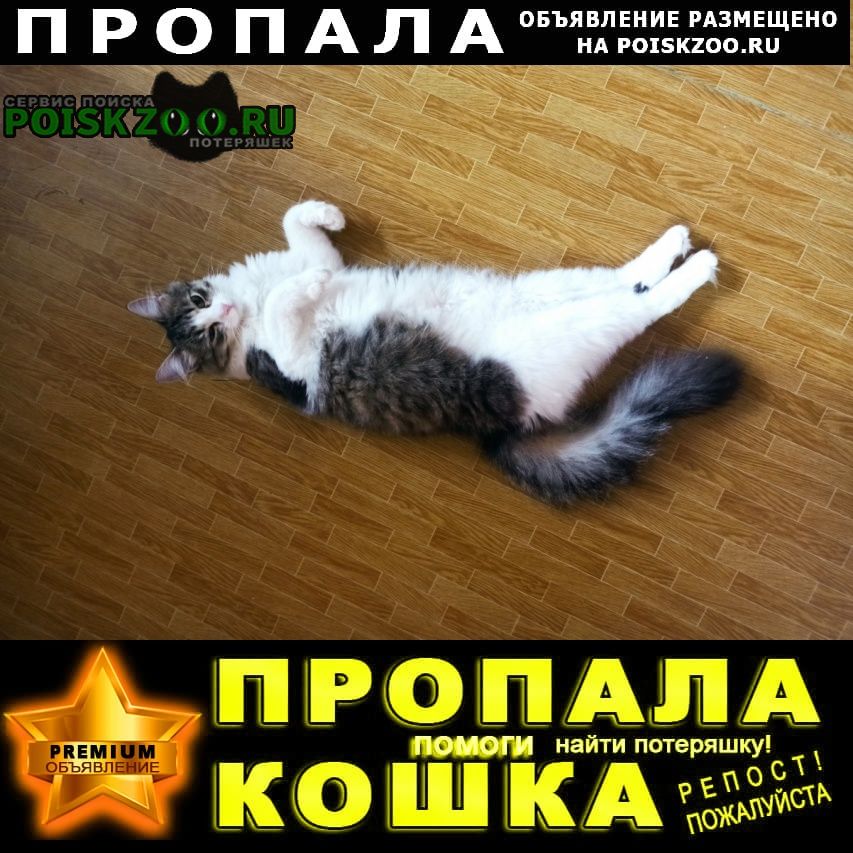     1  -