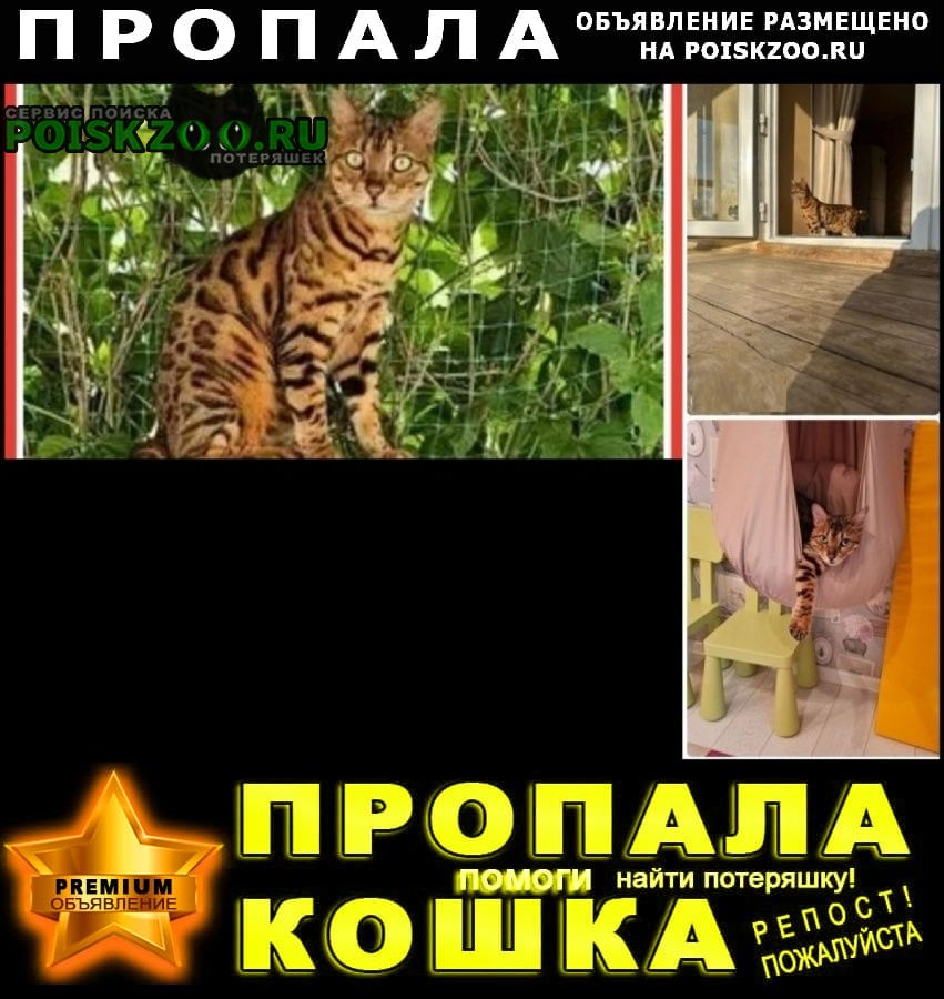    20000