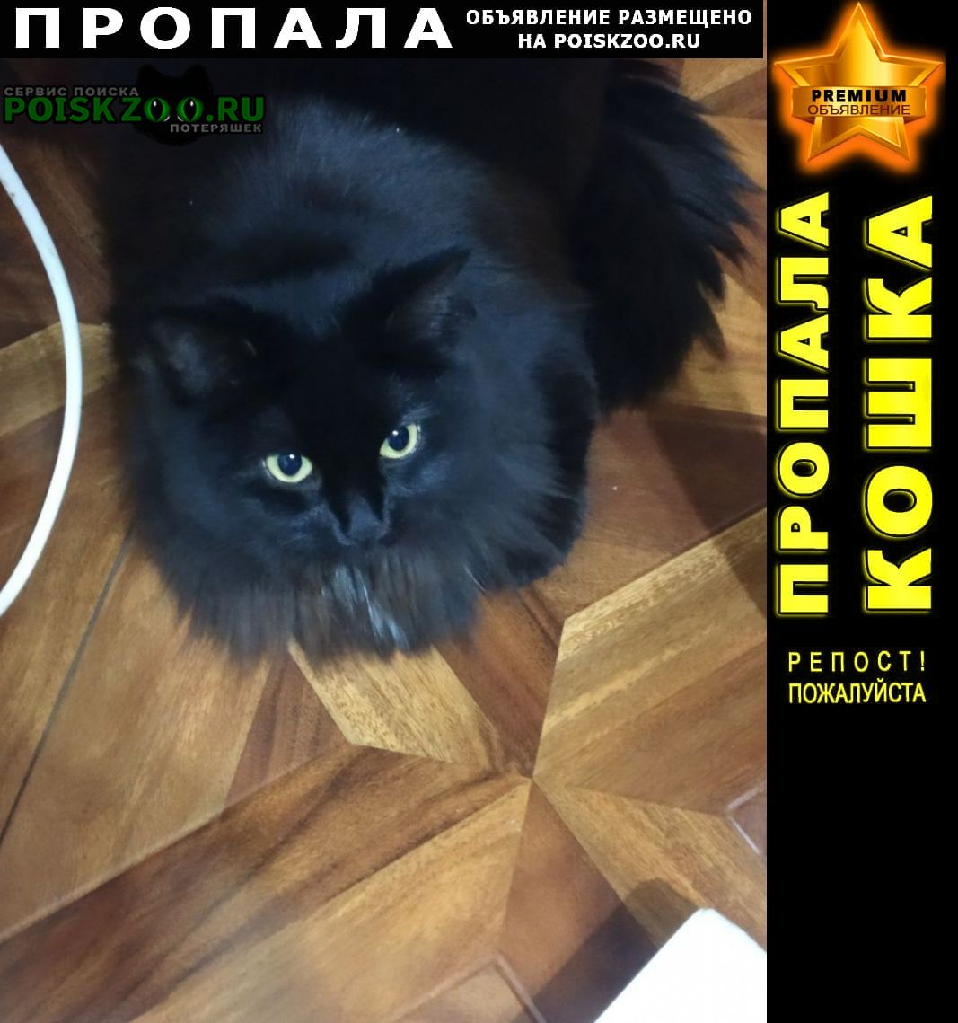 ���� ������� ����� ��������