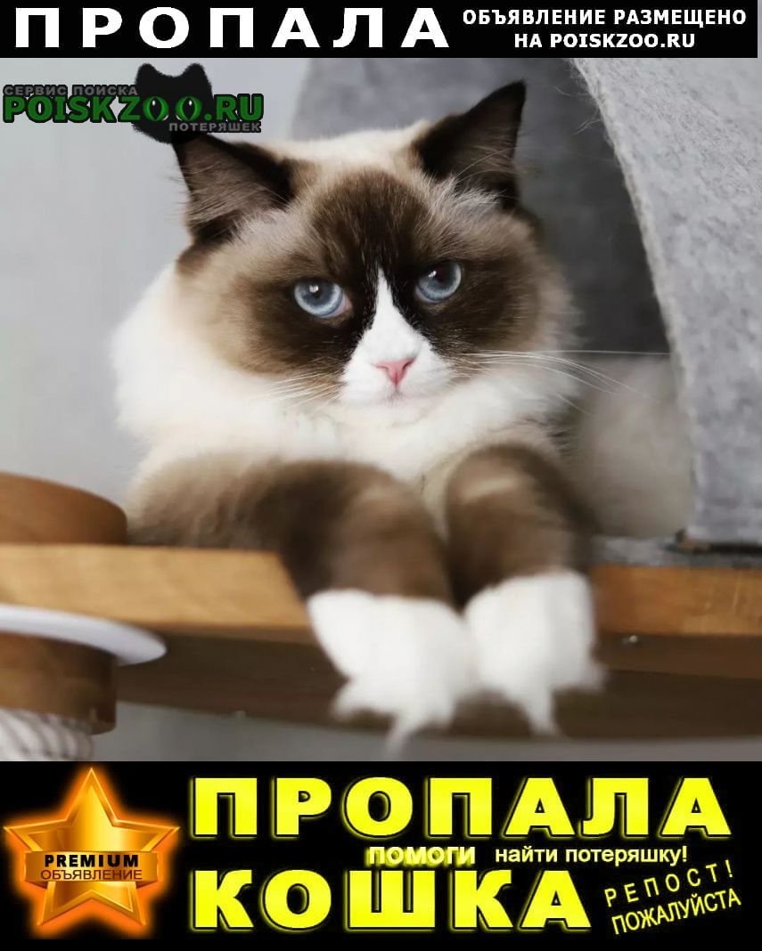 ���� ������� ����� �������� ������� ������ ������� �����