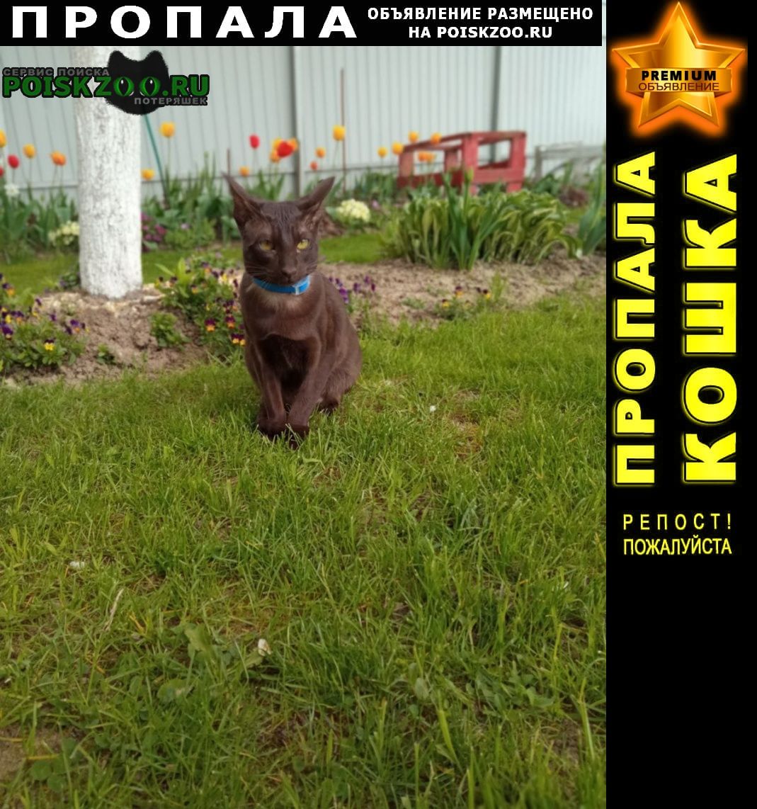 ���� ������� ����� �������������� �� ����������� �������