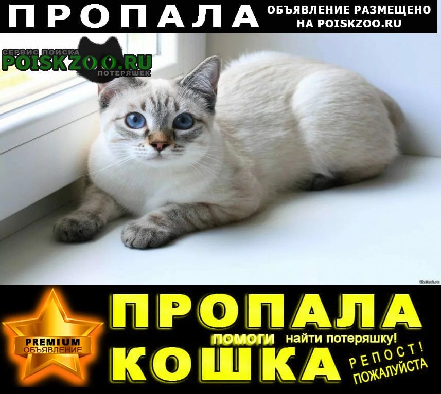 ���� ������ ��� �������� �����