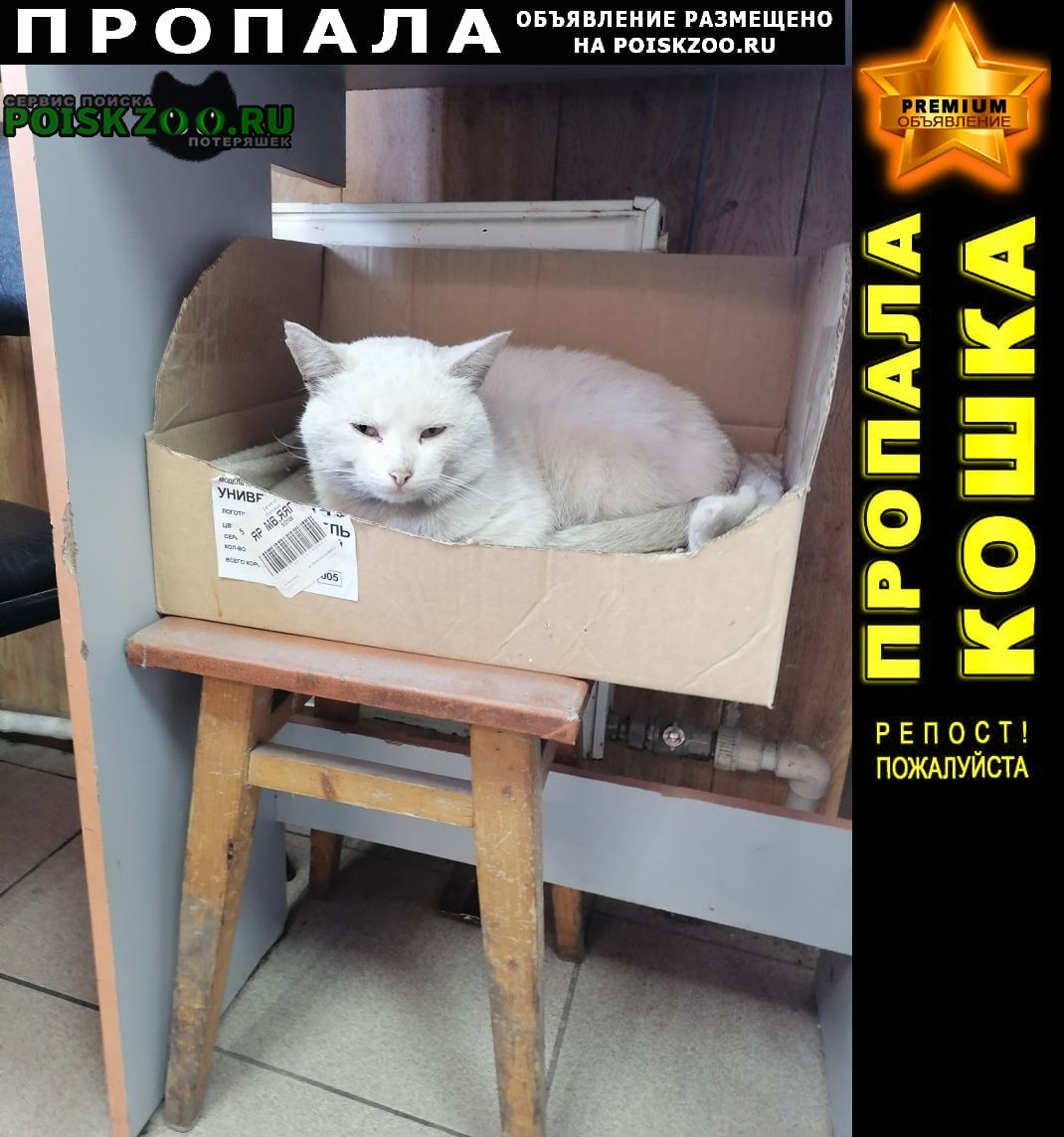 ���� ������ ���