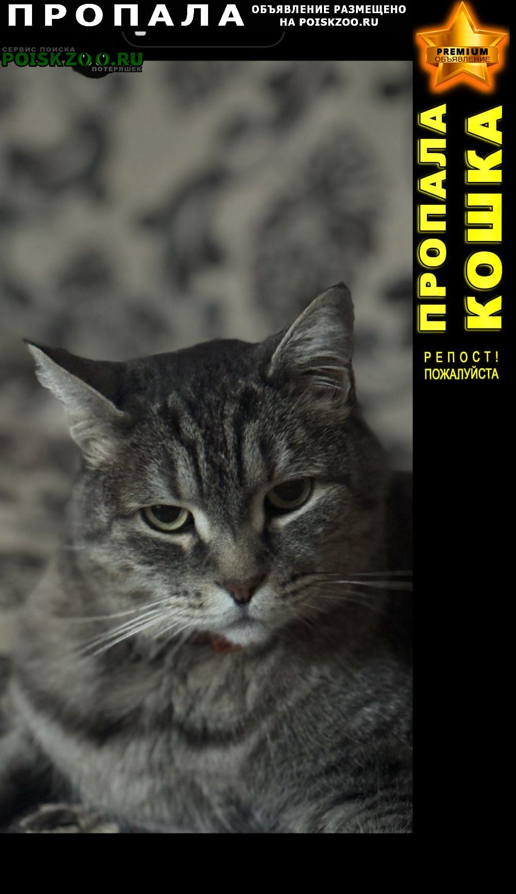 ���� ������ ���