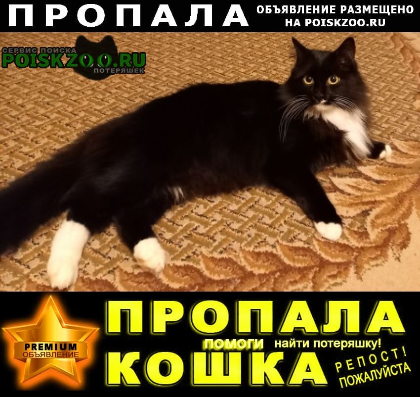 ���� ������ ��� �����