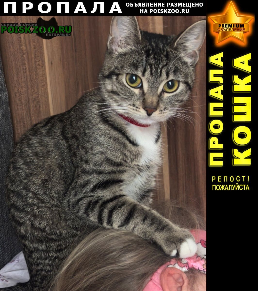 ���� ������� �����