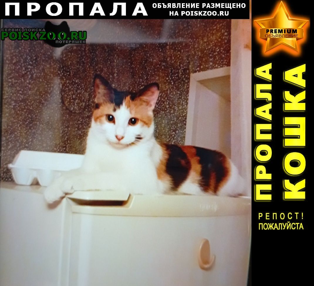 ���� ������� �����