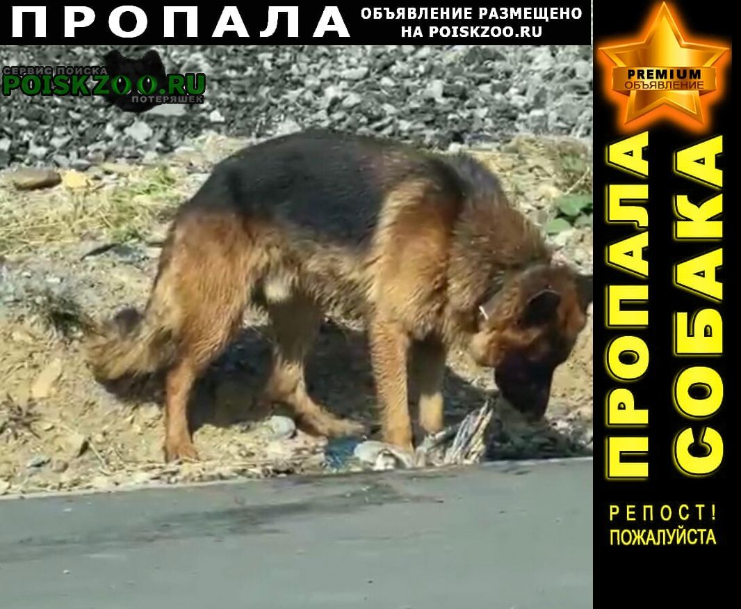 ���� ������� ������ ������