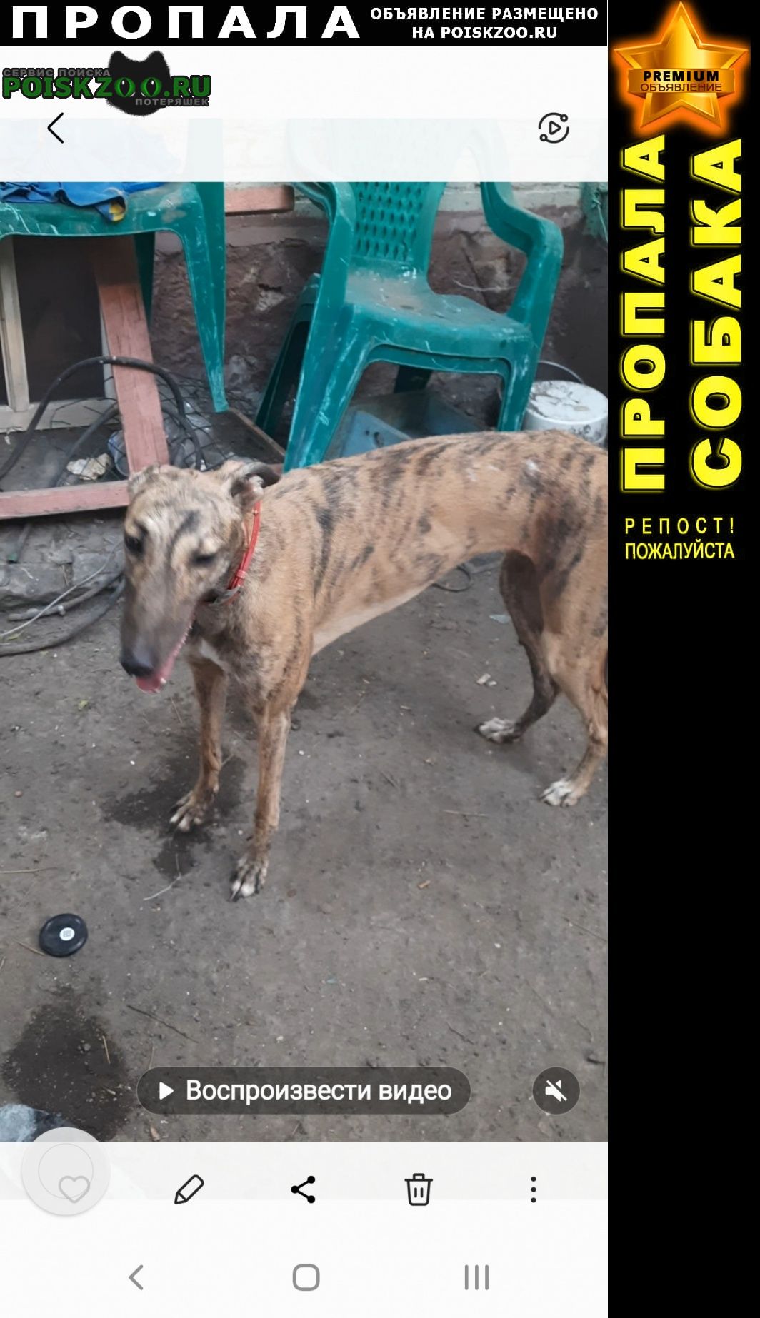 ���� ������� ������