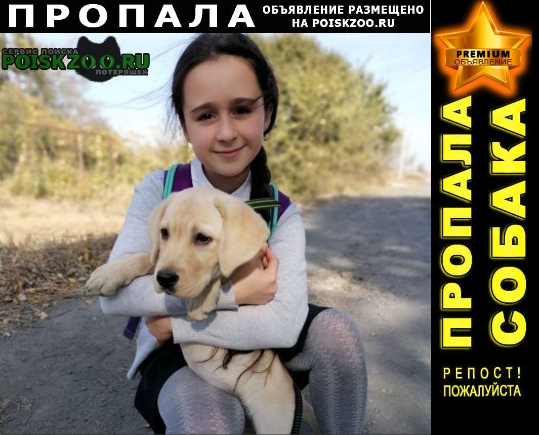 Пропала собака кобель Новочеркасск