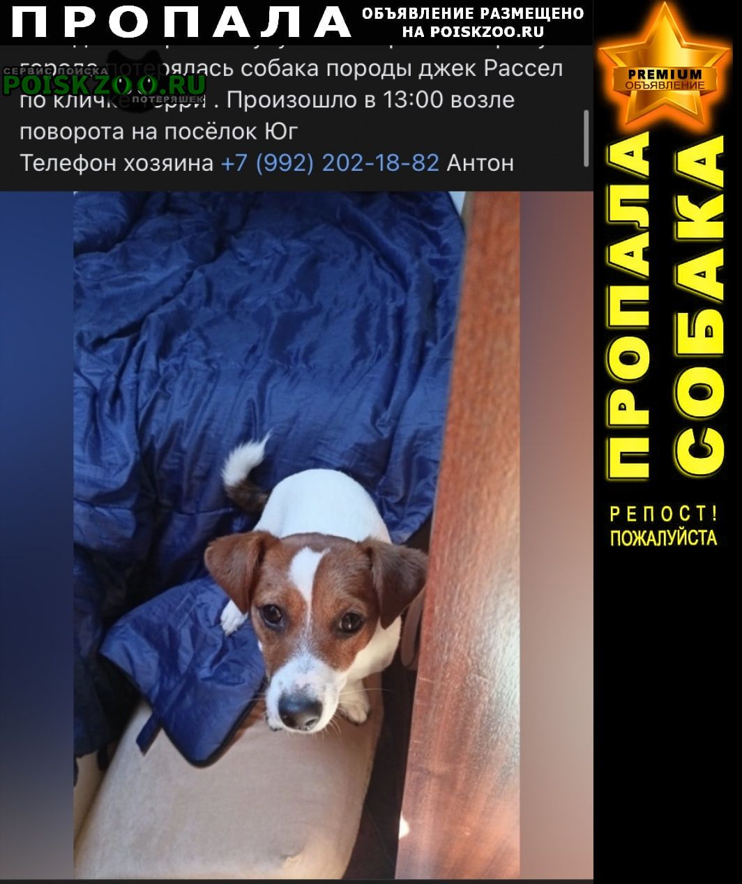 Пропала собака Пермь
