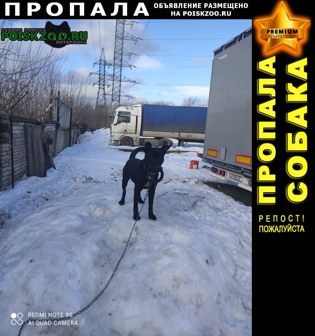 Воронеж Пропала собака кобель в районе ваи