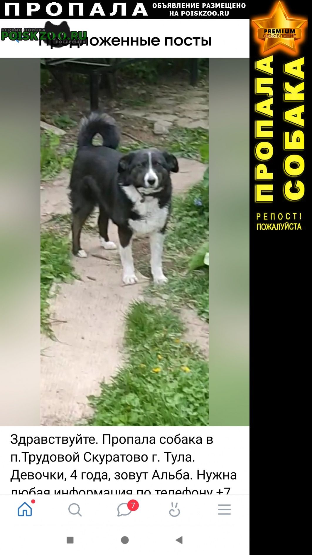 ���� ������� ������