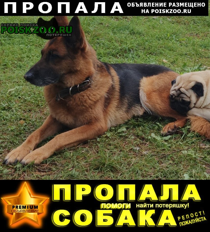 ���� ������� ������ ������� ����