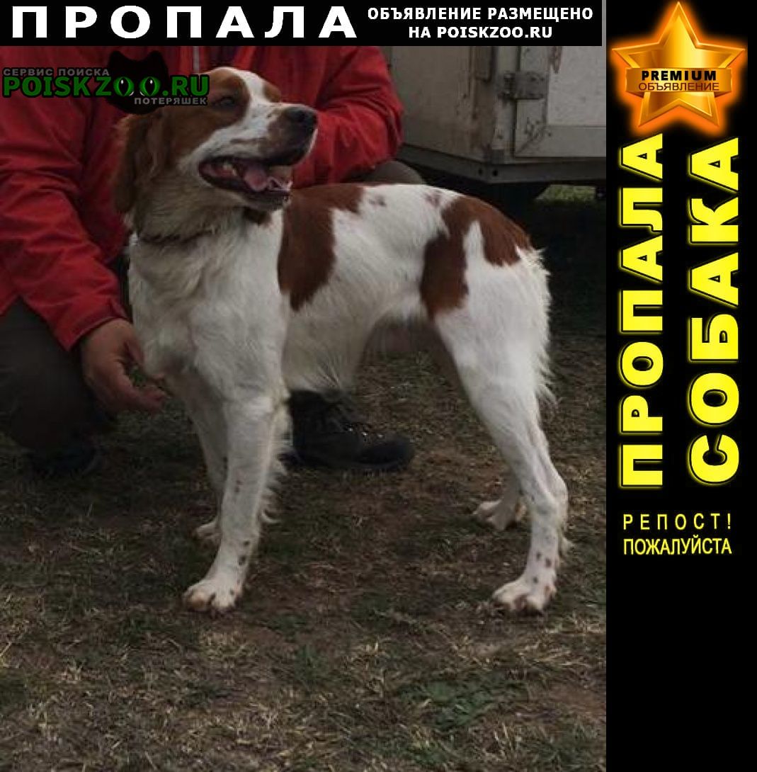 ���� ������� ������ �������� ����� ���� ������ �