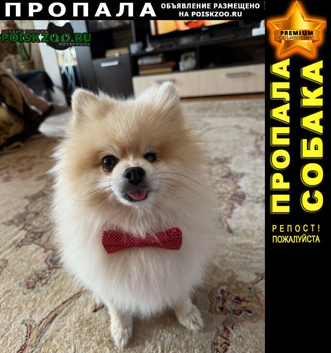 ���� ������� ������ ������ ���� �����������, ���� �� ���� ����