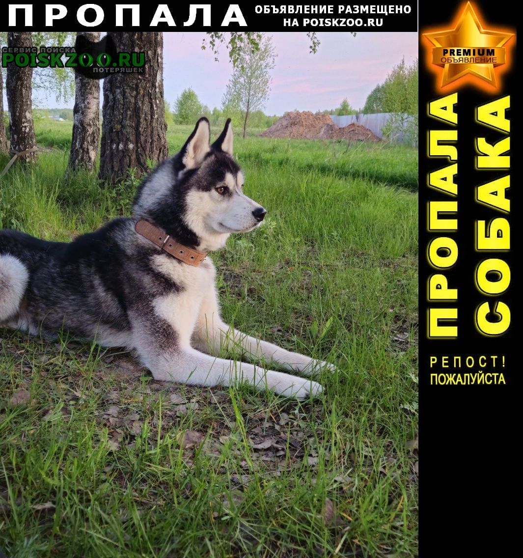 ���� ������� ������ ������