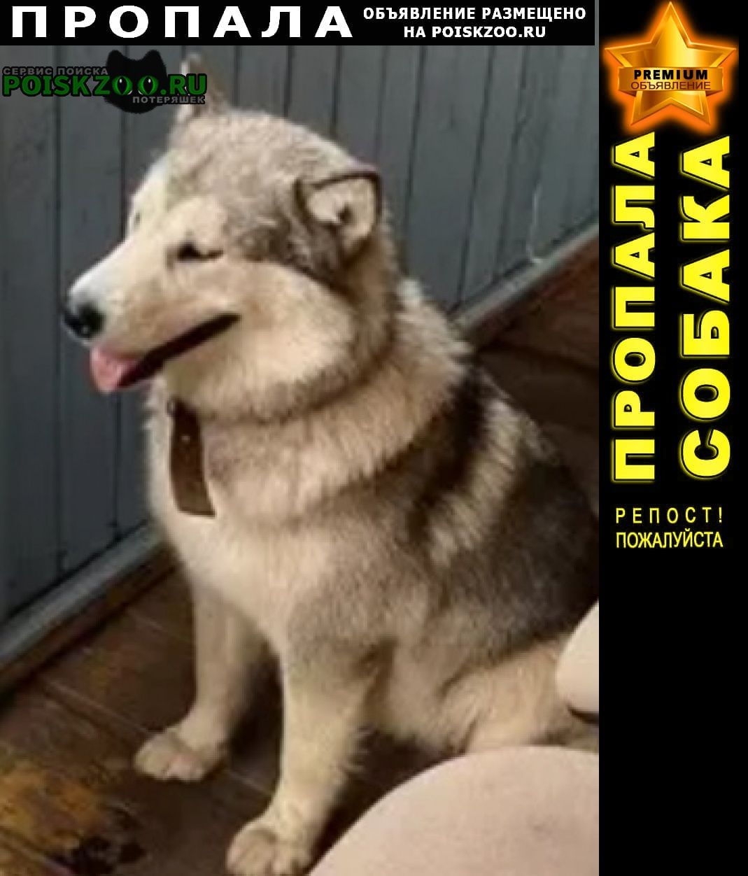 ���� ������� ������ �������