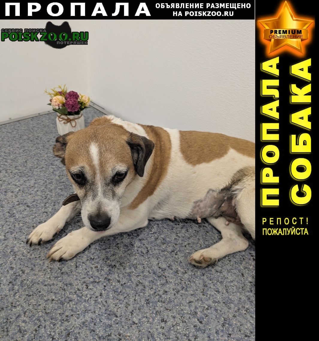 ���� ������� ������