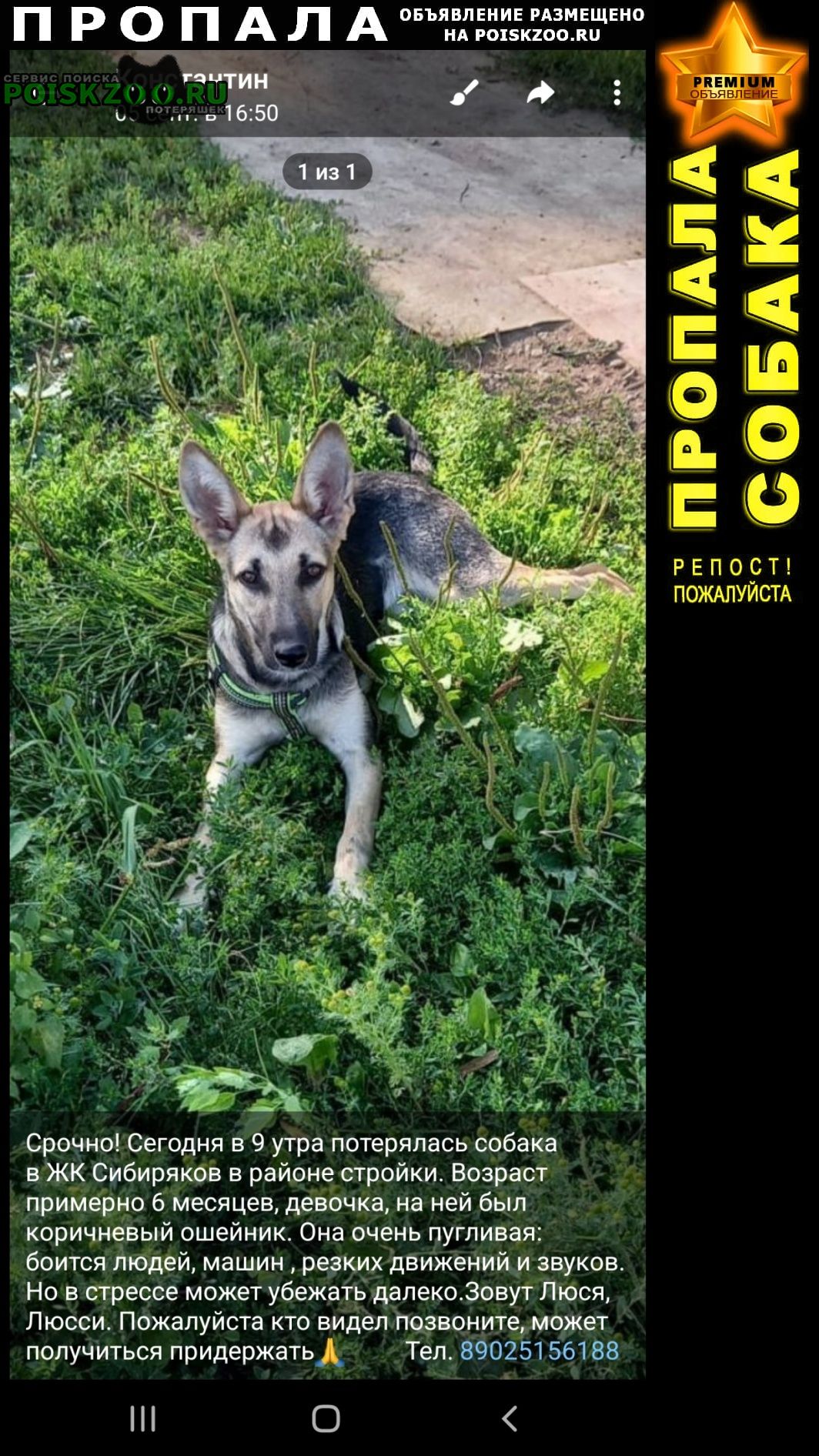 ���� ������� ������