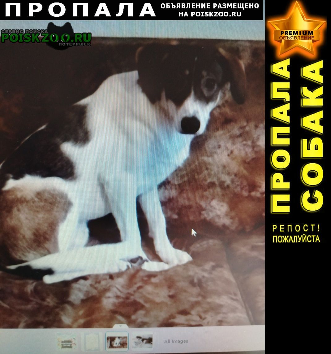 ���� ������� ������ ������