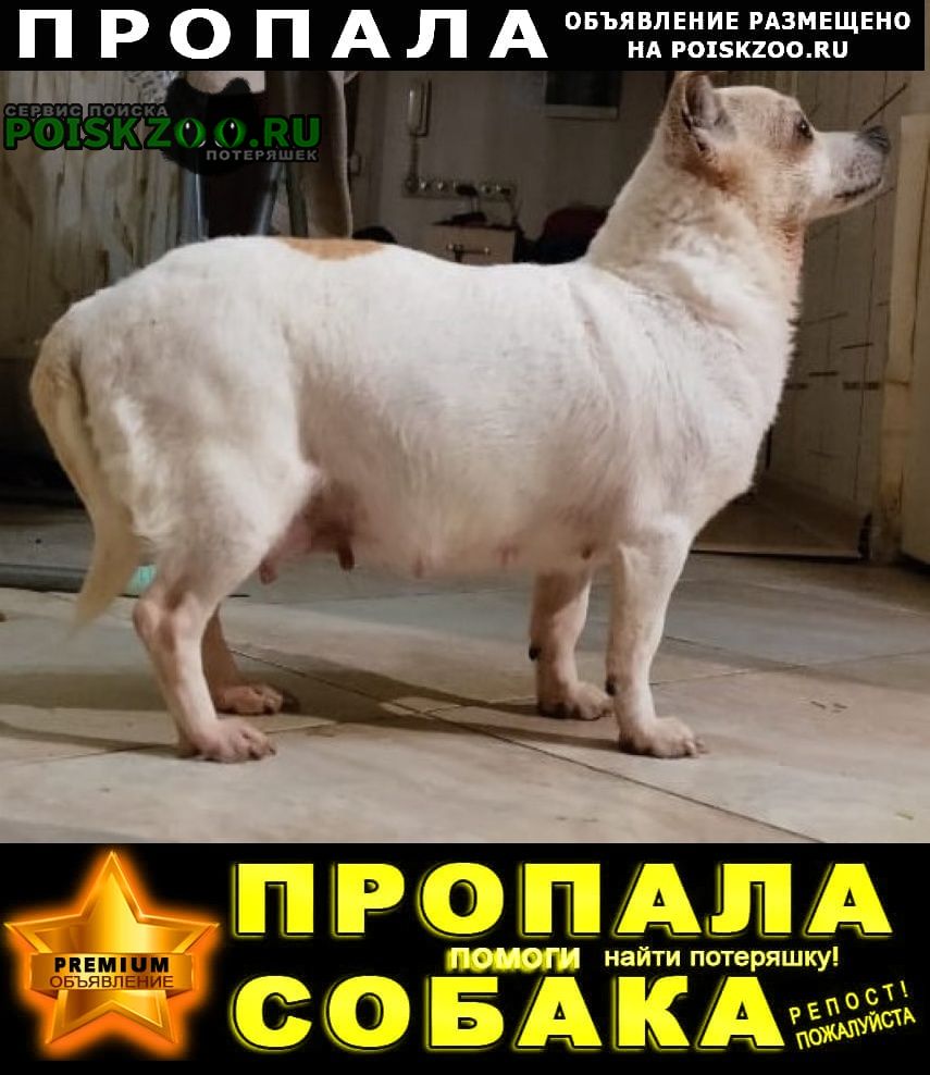   -. , 6  -