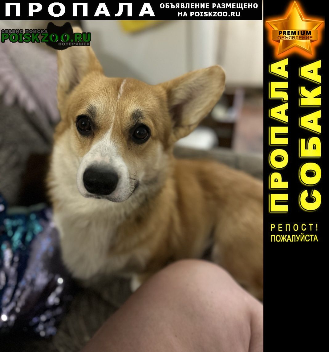 ���� ������� ������ ������