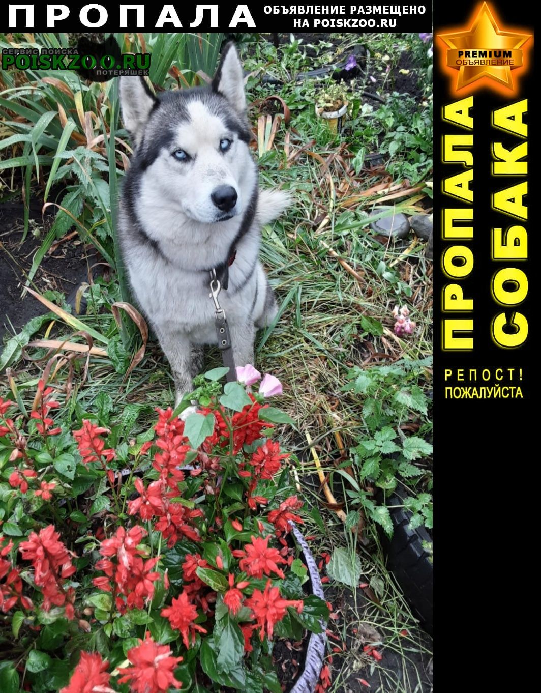 ���� ������� ������ ������ �����, ���� ����������