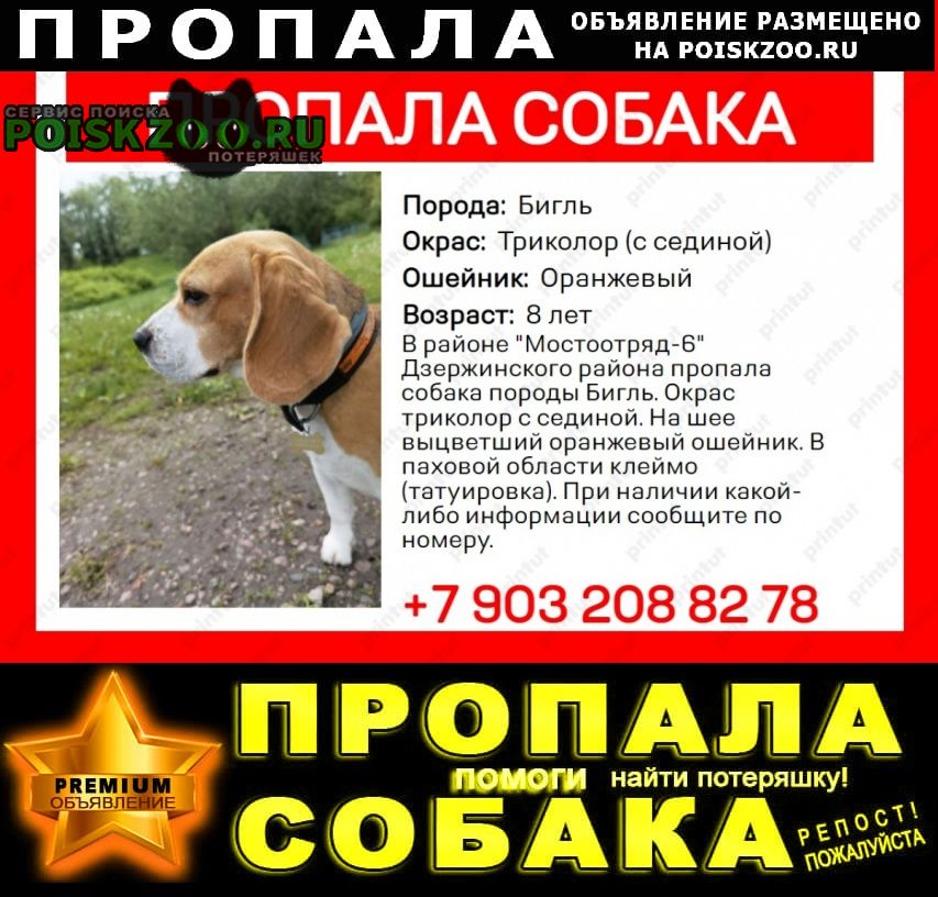 ���� ������� ������