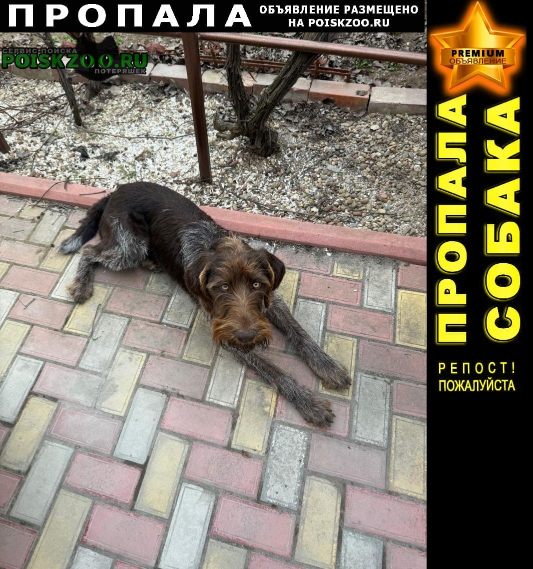 ���� ������� ������