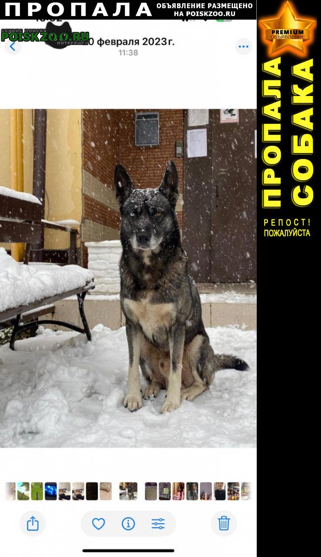 ���� ������� ������ ������ �� ������ ����