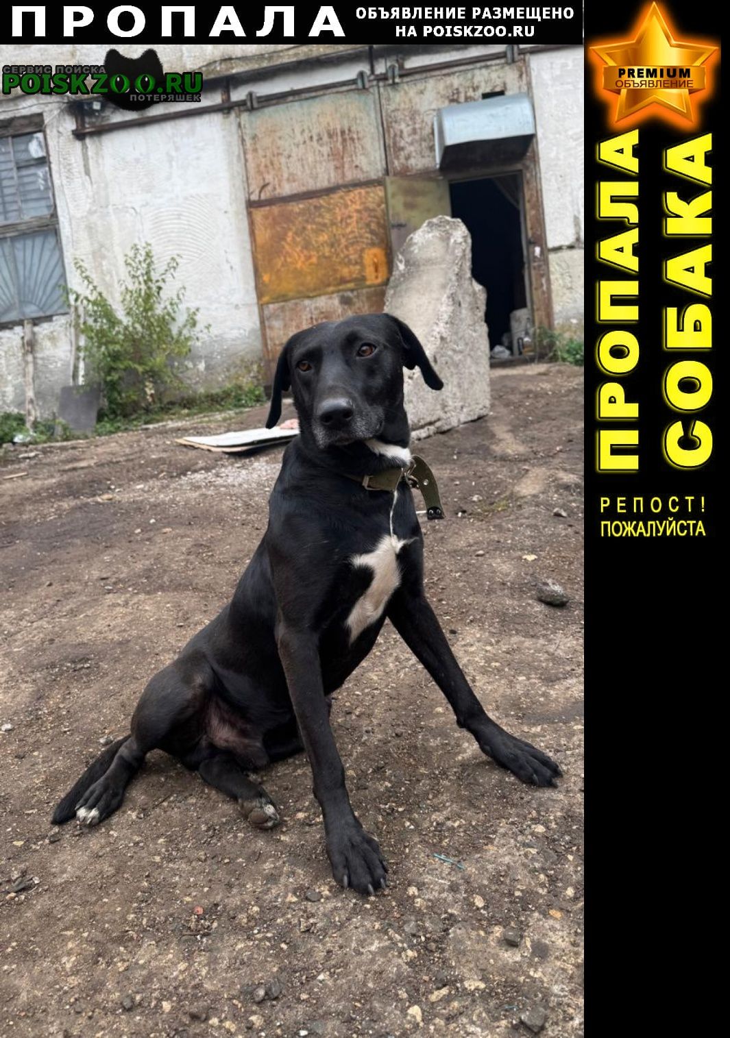 ���� ������� ������ ������ �������� �����