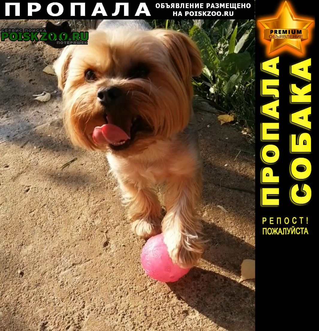 ���� ������� ������ ������